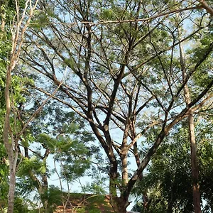 Rumah Jah Langkawi Pantai Cenang (Langkawi)